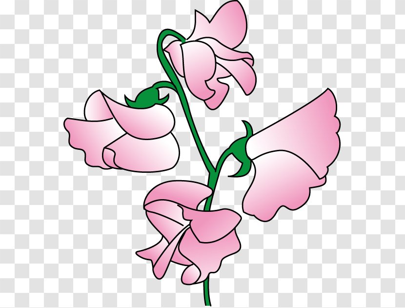 Sweet Pea Flower Clip Art - Watercolor - Pink Peas Cliparts Transparent PNG