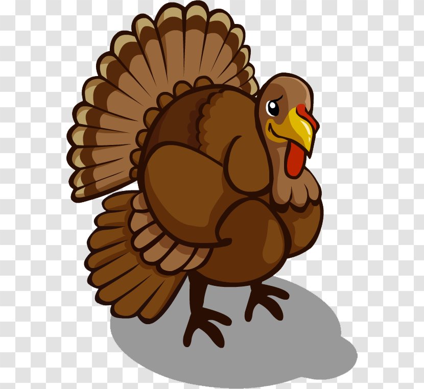 Turkey Clip Art - Domesticated - Free Download Transparent PNG
