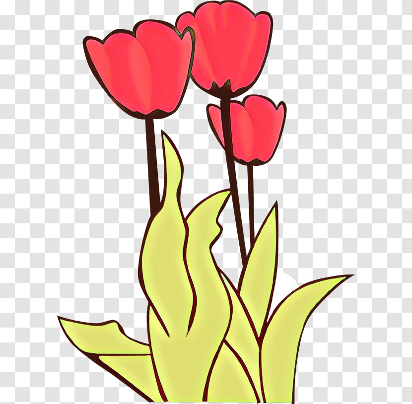 Tulip Flower Petal Plant Plant Stem Transparent PNG