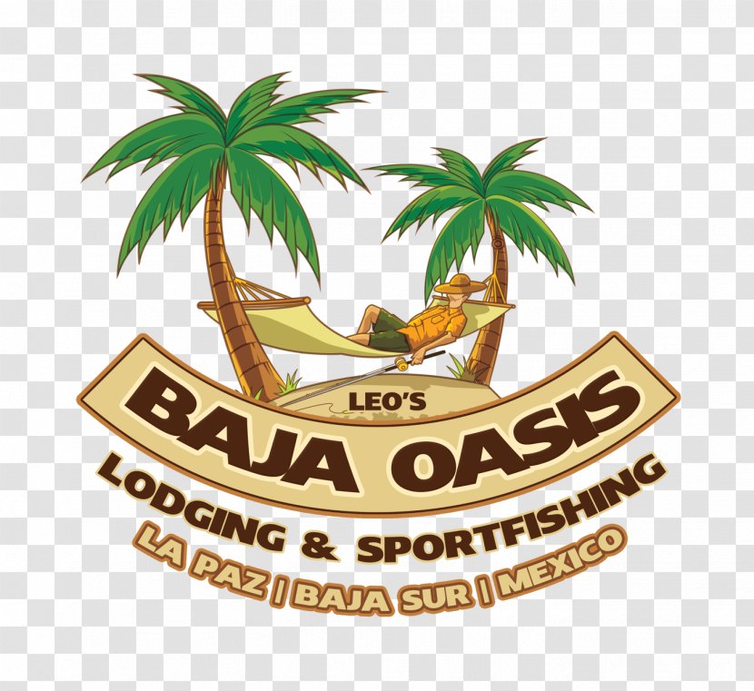 Leo's Baja Oasis Gulf Of California Sport Hotel Adventure - Extreme Transparent PNG