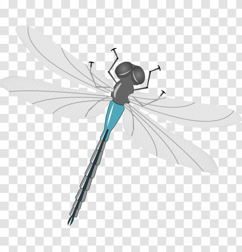 Mosquito Insect Dragonfly Illustration - Fly - Vector Cartoon Gray Painted Transparent PNG