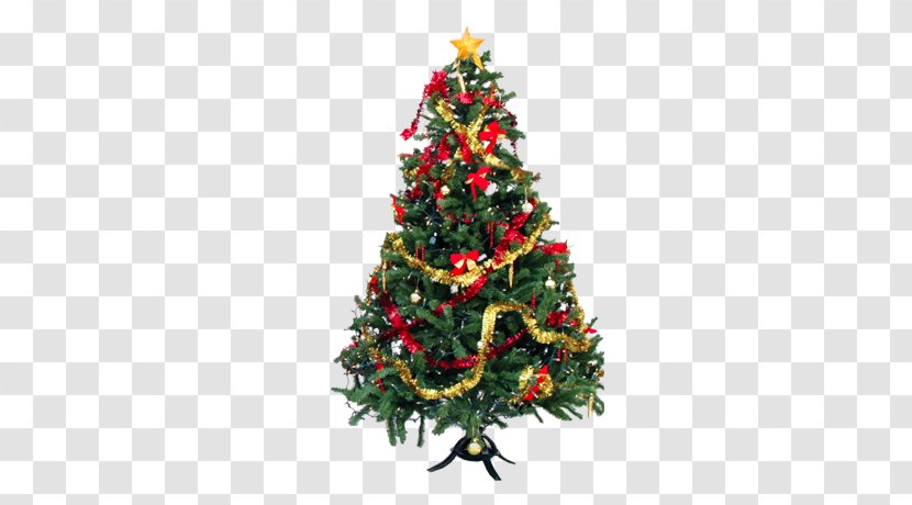 Christmas Tree Lights Ornament Pre-lit - Spruce Transparent PNG