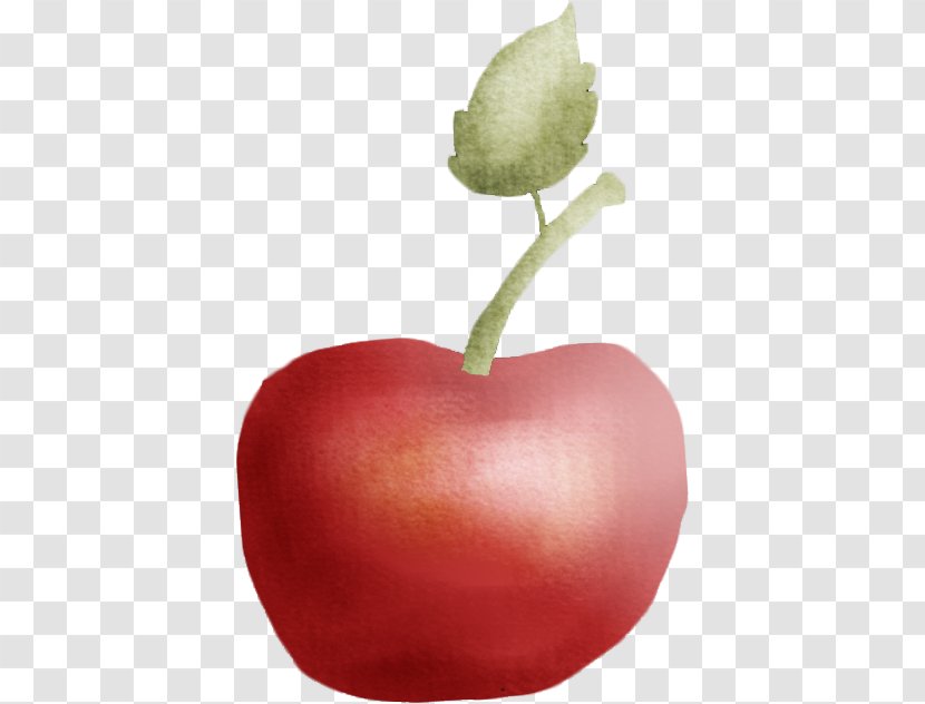 Apple Auglis - Painted Transparent PNG