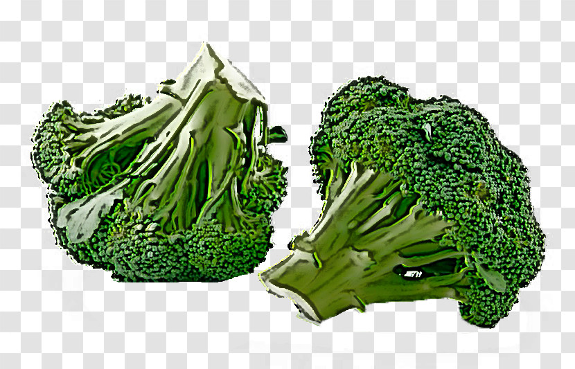 Leaf Vegetable Broccoli Vegetable Wild Cabbage Plant Transparent PNG