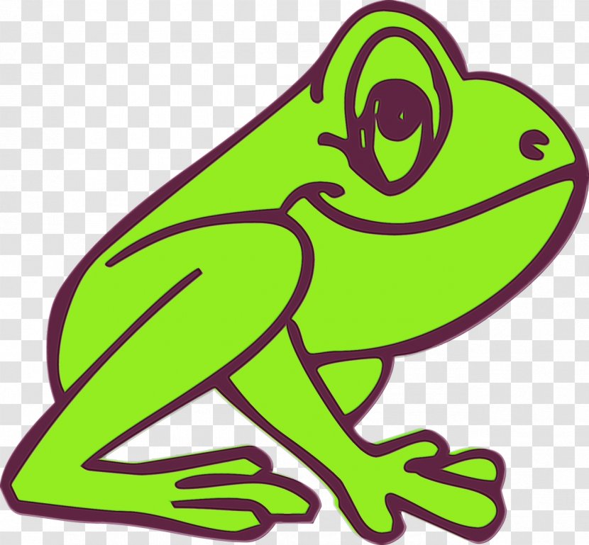 Green Hyla Tree Frog Clip Art True - Shrub - Agalychnis Transparent PNG