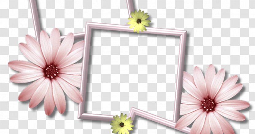 Picture Frames Desktop Wallpaper Collage Clip Art - Cut Flowers - Daisy Border Transparent PNG