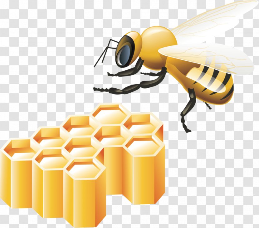 Bee - Invertebrate Transparent PNG