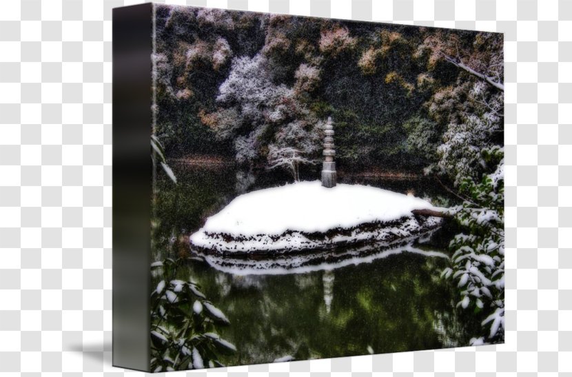 Water Resources Pond Feature Stock Photography - Winter Transparent PNG