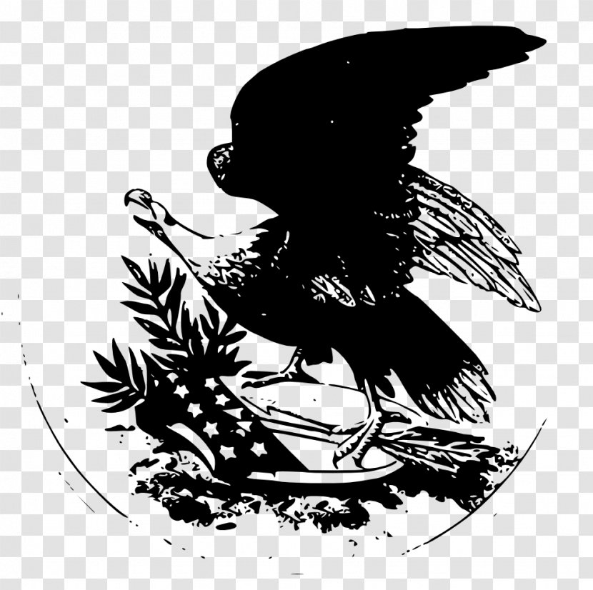 Bird Black And White Monochrome Photography Art - Visual Arts - American Eagle Transparent PNG