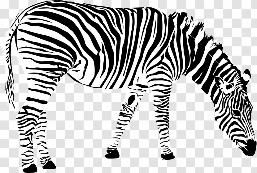 Grant's Zebra Clip Art - Horse Like Mammal Transparent PNG