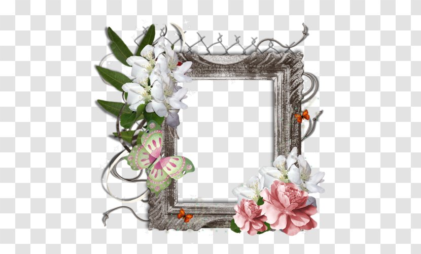 Picture Frames Floral Design Photography - Internet Transparent PNG