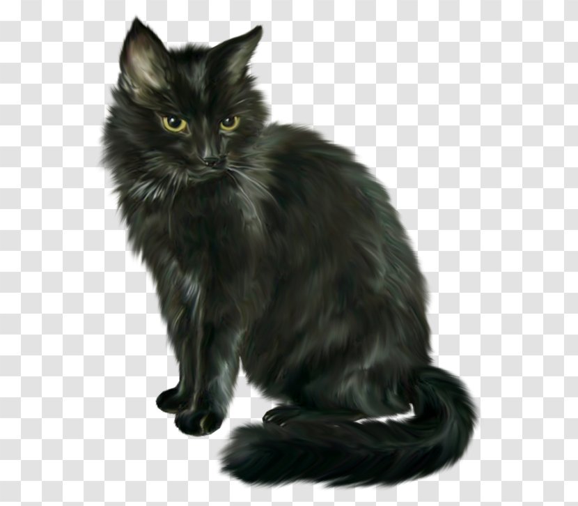 Black Cat Nebelung Malayan Asian Semi-longhair Norwegian Forest - Domestic Longhaired - Kitten Transparent PNG