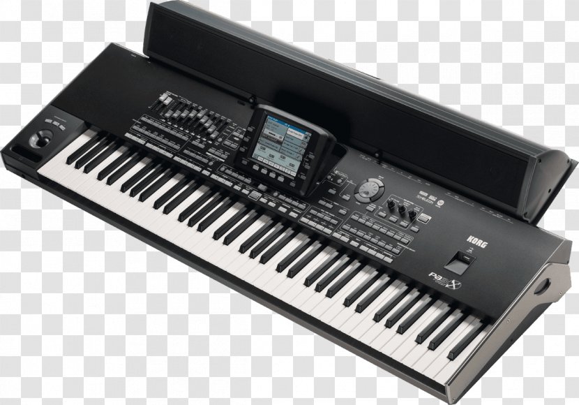 Korg M3 KORG PA3X Keyboard PA800 PA4X - Tree Transparent PNG