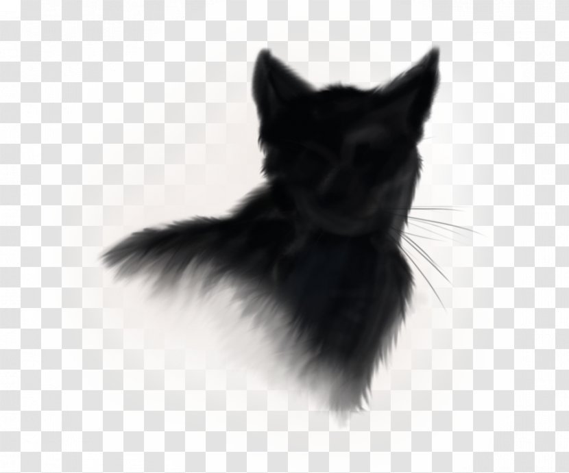 Norwegian Forest Cat Kitten Black Logo - Carnivoran Transparent PNG