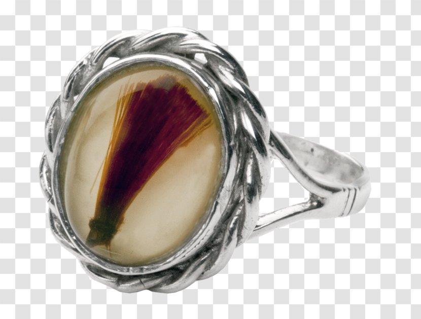 Ring Cremation Jewellery Funeral Lock Of Hair - Gemstone Transparent PNG