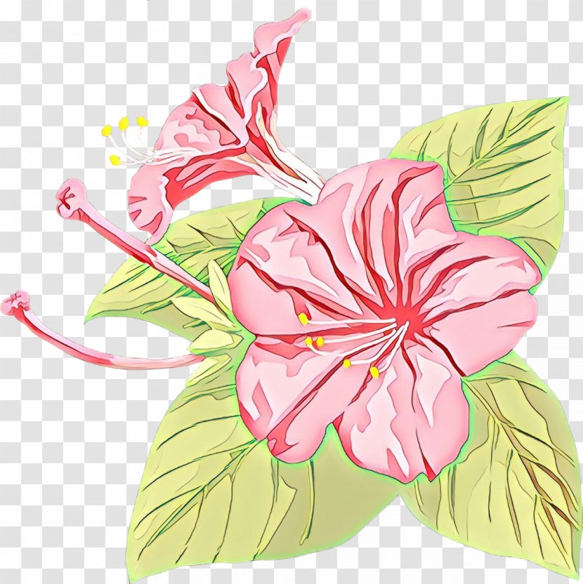 Rosemallows Clip Art Flower Japanese Morning Glory Petal - Tropical White Morningglory - Floral Design Transparent PNG