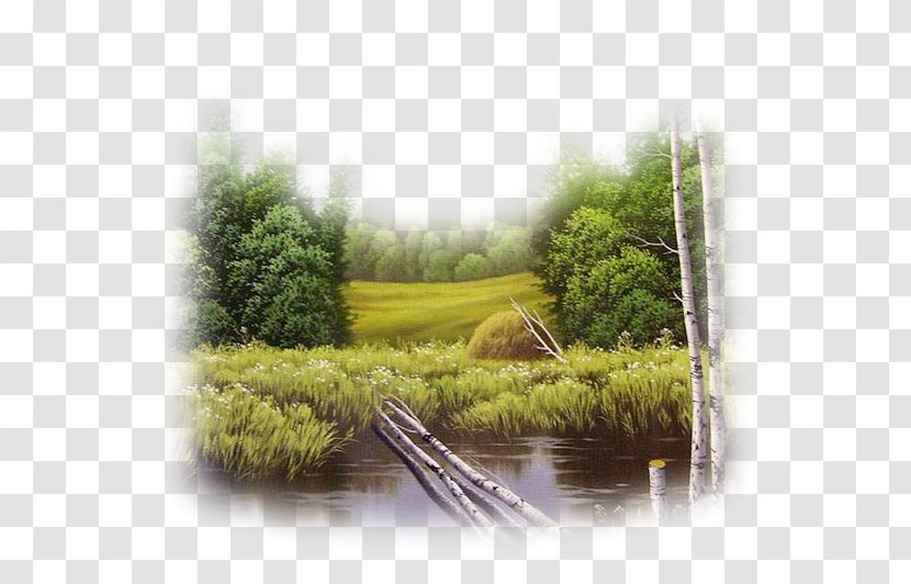 Landscape Water Resources Ecosystem Painting - Meadow - Campagne Transparent PNG
