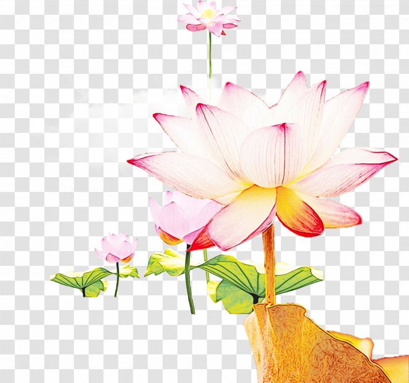 Water Paint Flowers - Wet Ink - Proteales Wildflower Transparent PNG