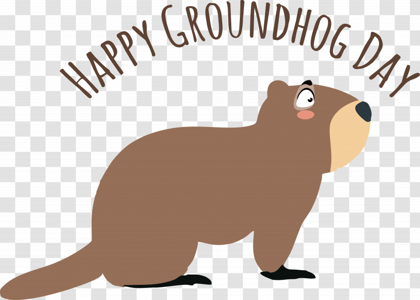 Rodents Beaver Whiskers Dog Snout Transparent PNG