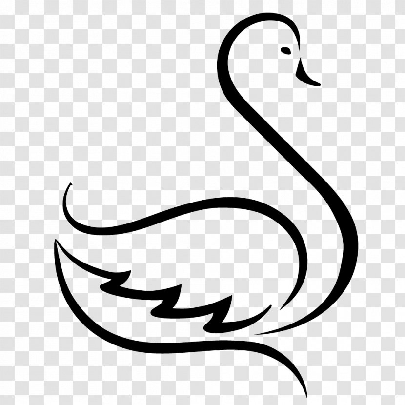 Duck Graphic Design Goose Cygnini - Freelancer Transparent PNG