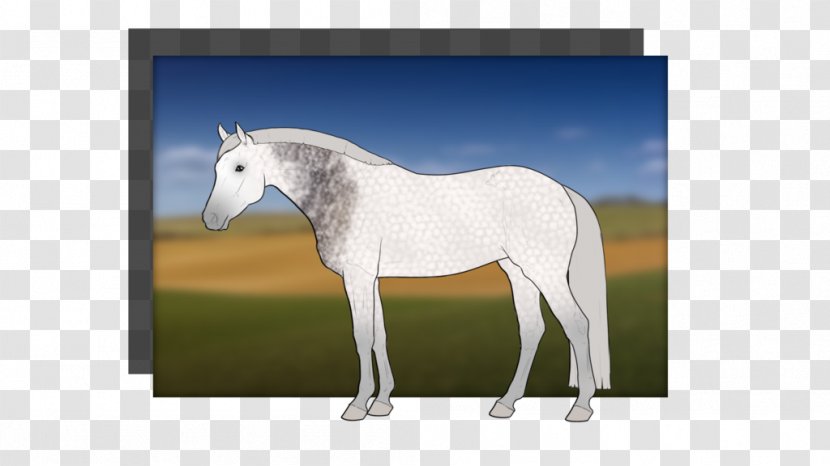 Stallion Mustang Foal Halter Mare - Rein Transparent PNG