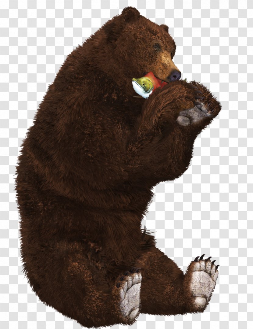 Brown Bear Polar Grizzly - Heart Transparent PNG