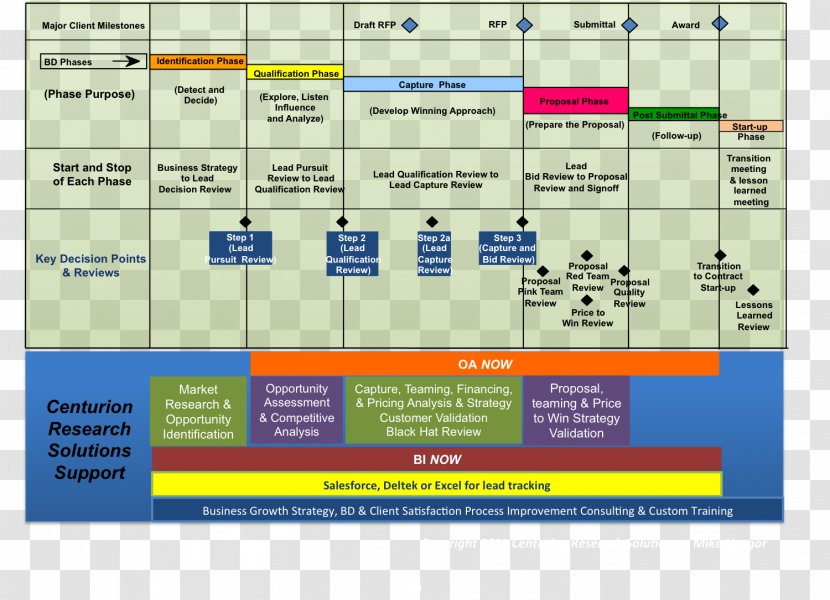 Business Development Process Flow Diagram - Screenshot Transparent PNG