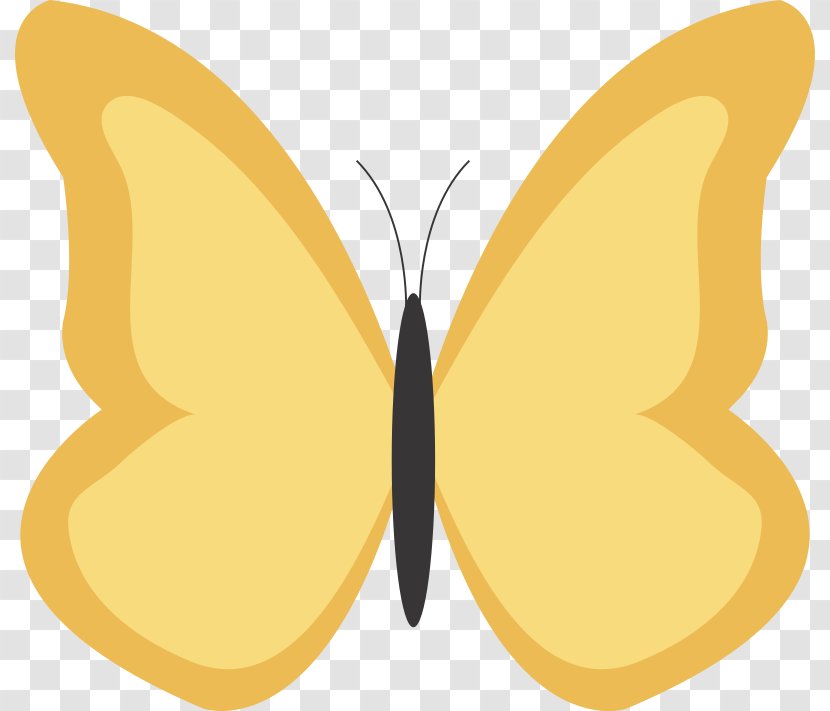 Butterfly Insect Drawing Clip Art - Moths And Butterflies Transparent PNG