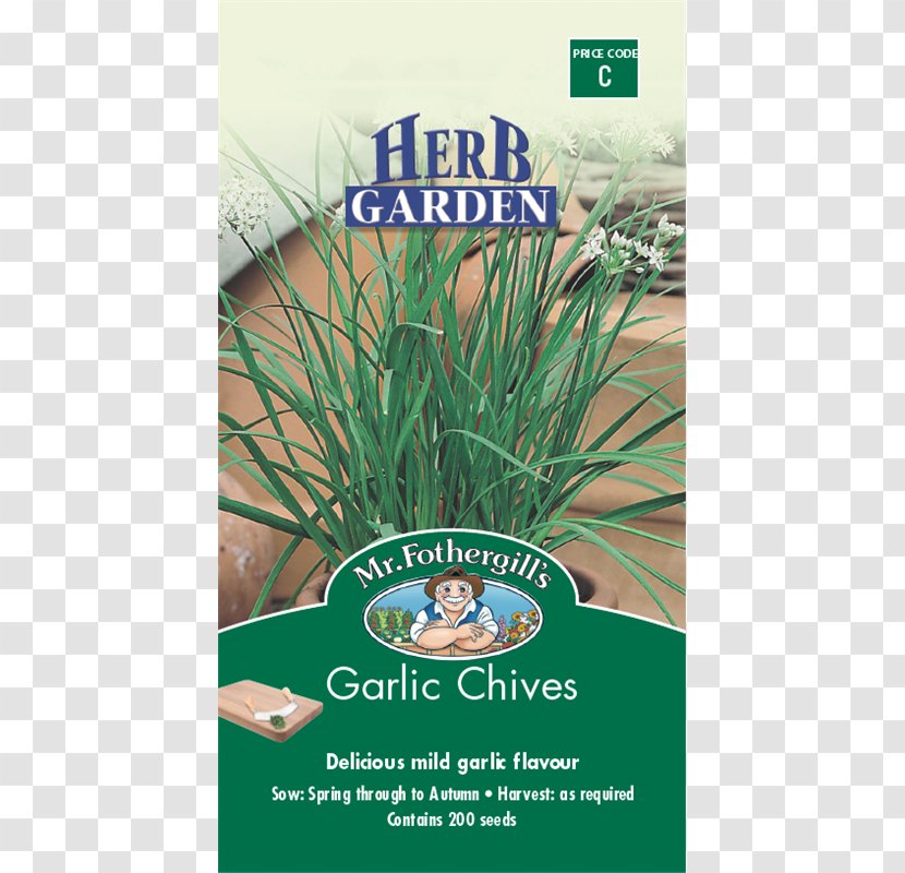 Garlic Chives Herb Vegetable Transparent PNG