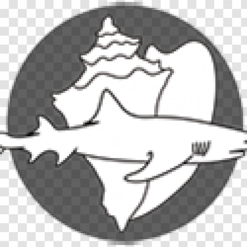 Sharkwater Bimini OdySea Aquarium Public - Shirt - Shark Transparent PNG