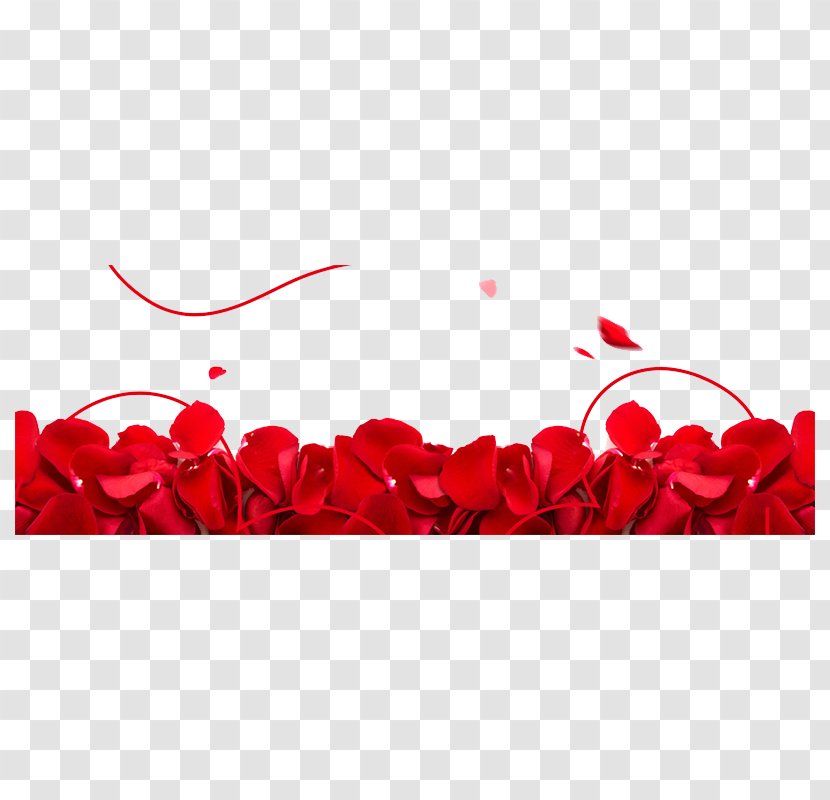 Beach Rose Petal Valentines Day Flower - Decoration Transparent PNG
