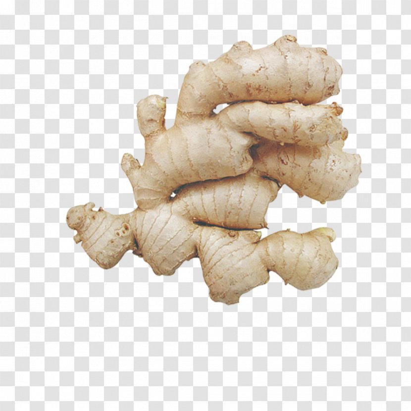 Root Vegetables Ginger Condiment - Soy Sauce - Raw Fresh Transparent PNG