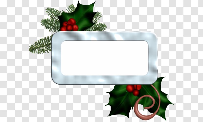 Christmas Ornament Aquifoliales Tree - Holly - Ski Facility Transparent PNG