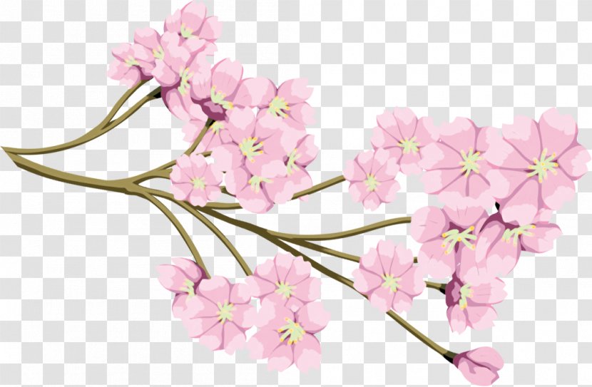 Cherry Blossom Flower Cerasus - Prunus Transparent PNG