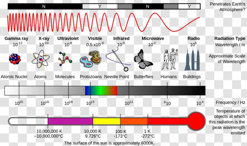 Light Electromagnetic Spectrum Radiation - Tree - Rays Transparent PNG