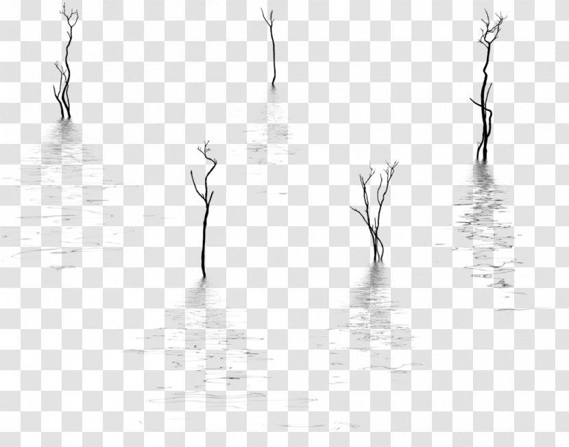 Water White - Monochrome Transparent PNG