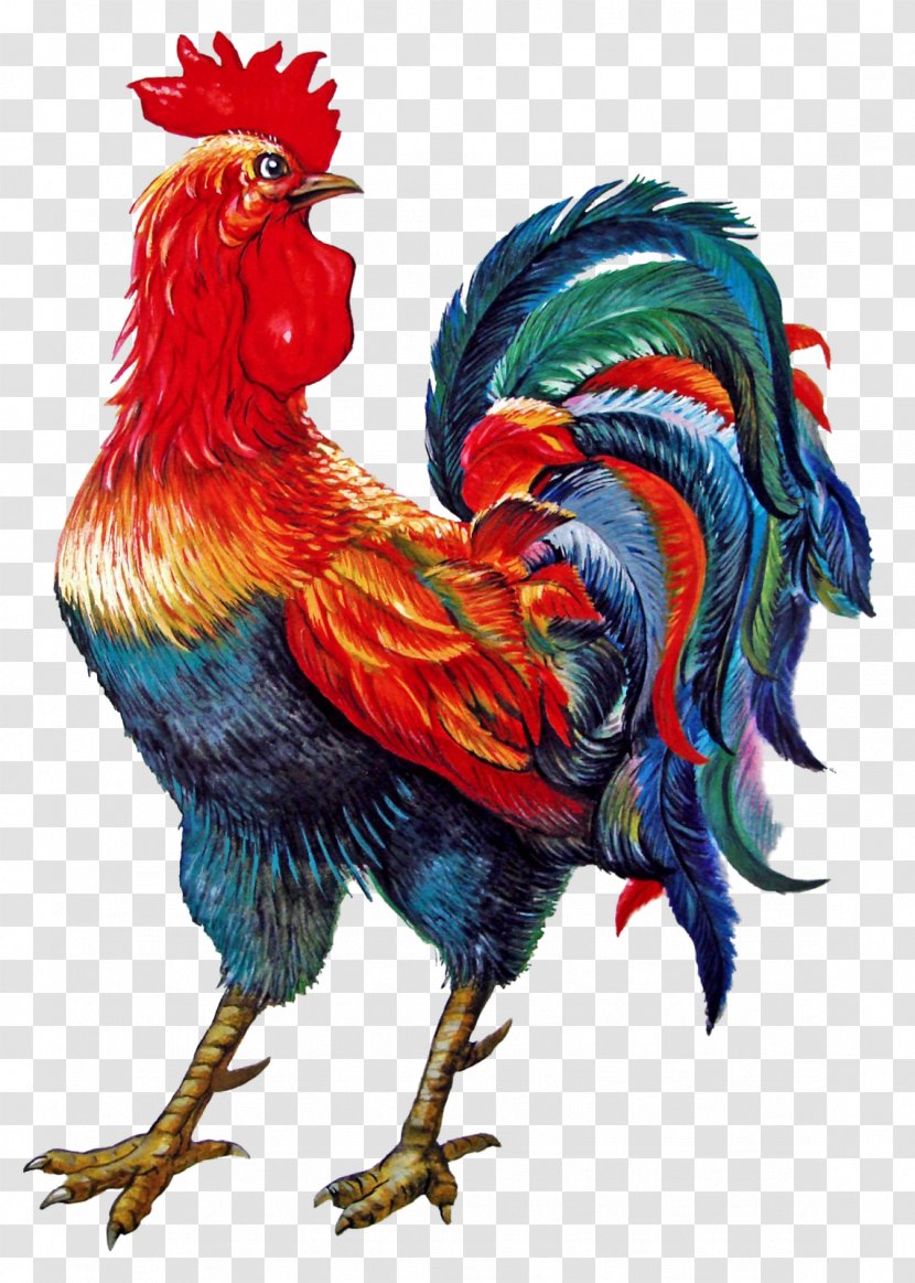 Rooster Chicken Symbol 0 Photography - Poultry Transparent PNG
