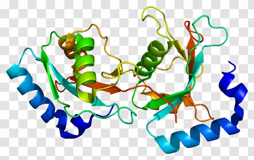 GABARAPL2 ULK1 Autophagy Gene GABA Receptor - Silhouette - Starvation Transparent PNG