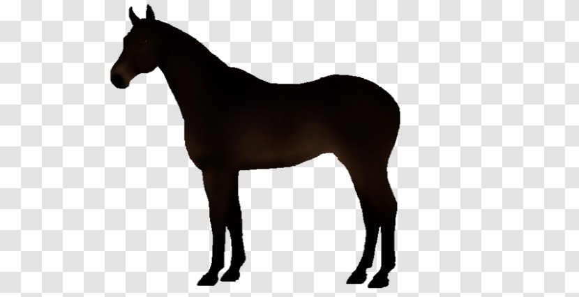 Horse Royalty-free - Tack - Seal Brown Transparent PNG