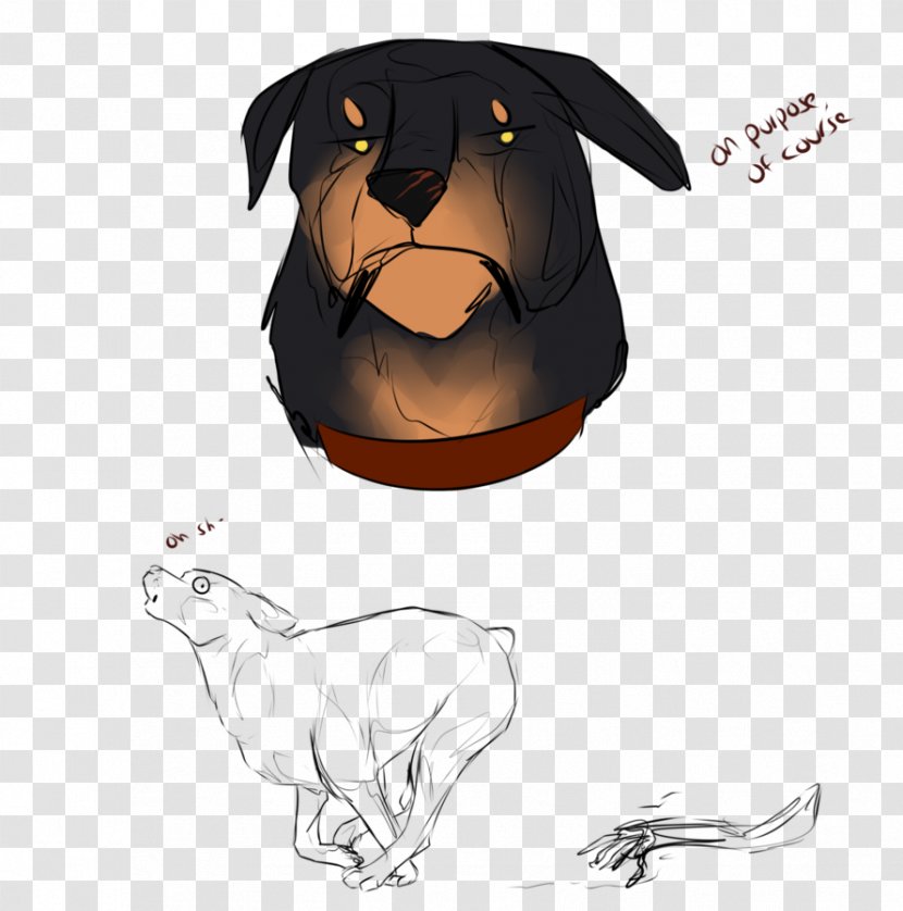 Puppy Dog Cartoon Illustration Snout Transparent PNG