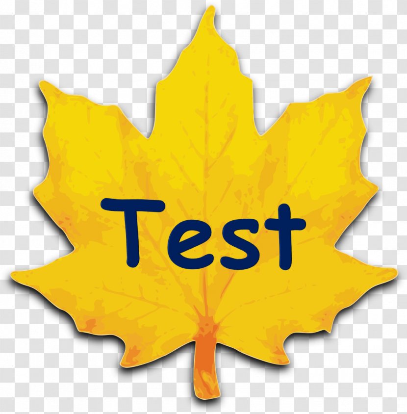 Clip Art Maple Leaf Sugar Red Autumn Color - Achievement Test Transparent PNG
