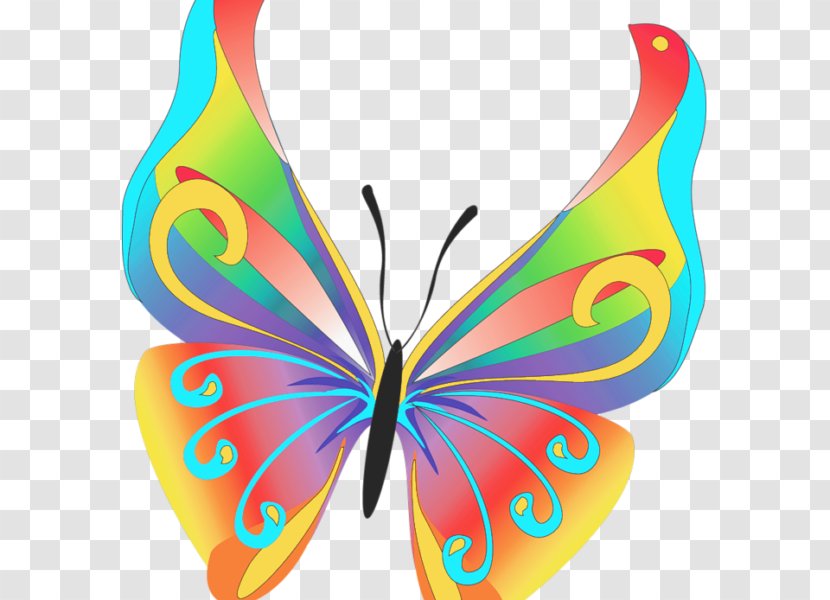 Butterfly Clip Art Image Beautiful Butterflies - Invertebrate Transparent PNG