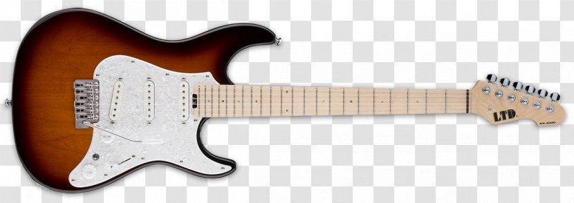 Fender Stratocaster Telecaster Musical Instruments Corporation Guitar Fingerboard - Acoustic Electric Transparent PNG