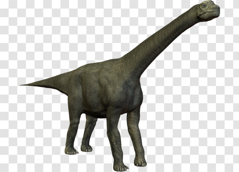 Velociraptor Camarasaurus Dinosaur PhotoScape - Terrestrial Animal Transparent PNG