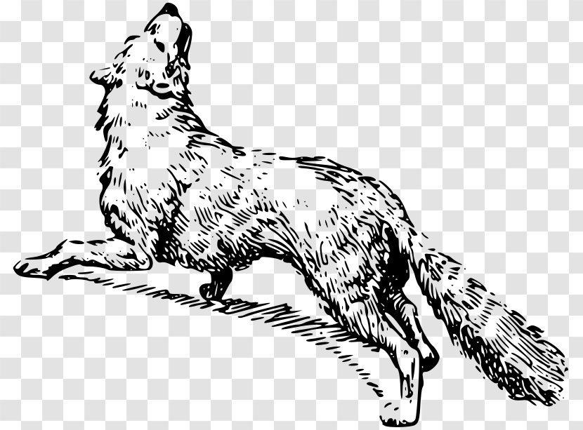 Red Fox Whiskers Dog Breed - Pet Transparent PNG