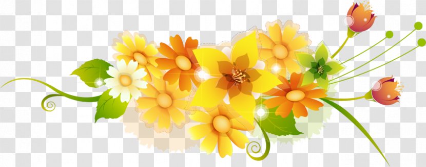 Floral Design Yellow Flower Photography Transparent PNG