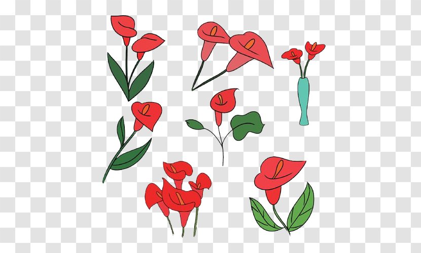 Arum-lily Floral Design Flower - Stroke - Red Calla Lily Transparent PNG