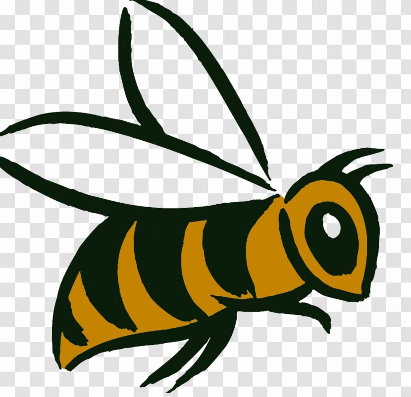Honey Bee Symbol Sting Bumblebee - Organism Transparent PNG