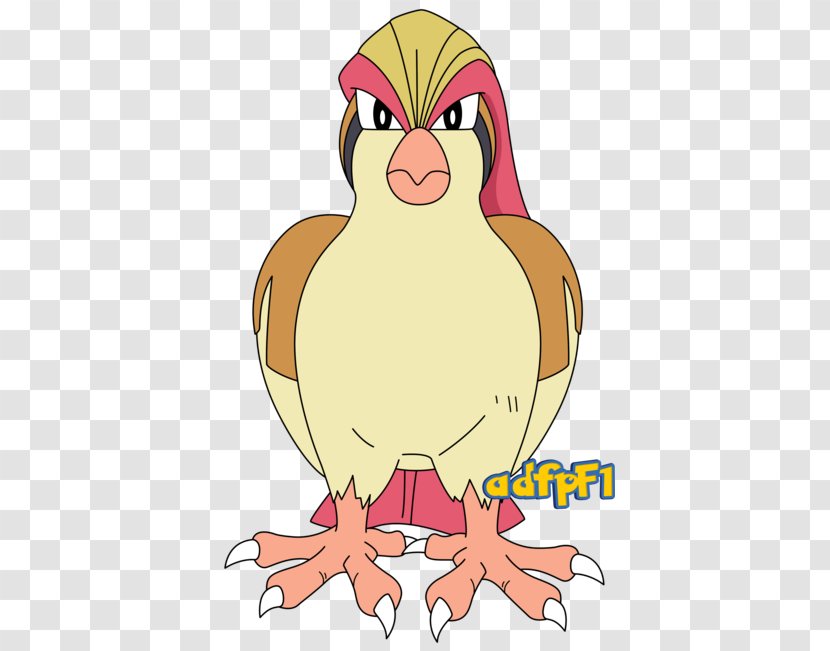 Pidgeotto Clip Art Ash Ketchum Pokémon - Beak - Pokemon Pidgeot Transparent PNG