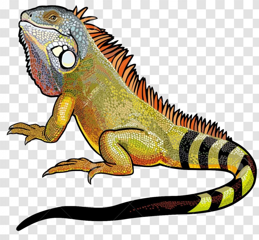 Green Iguana Lizard Clip Art - File Transparent PNG